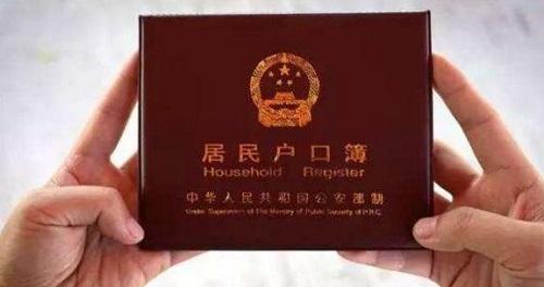亲子鉴定