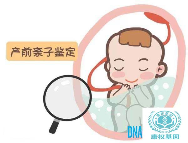 惠州产前亲子鉴定