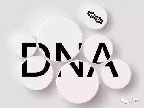 DNA