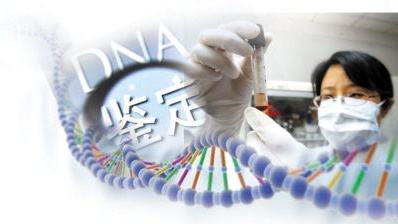 亲子鉴定