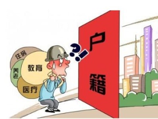亲子鉴定